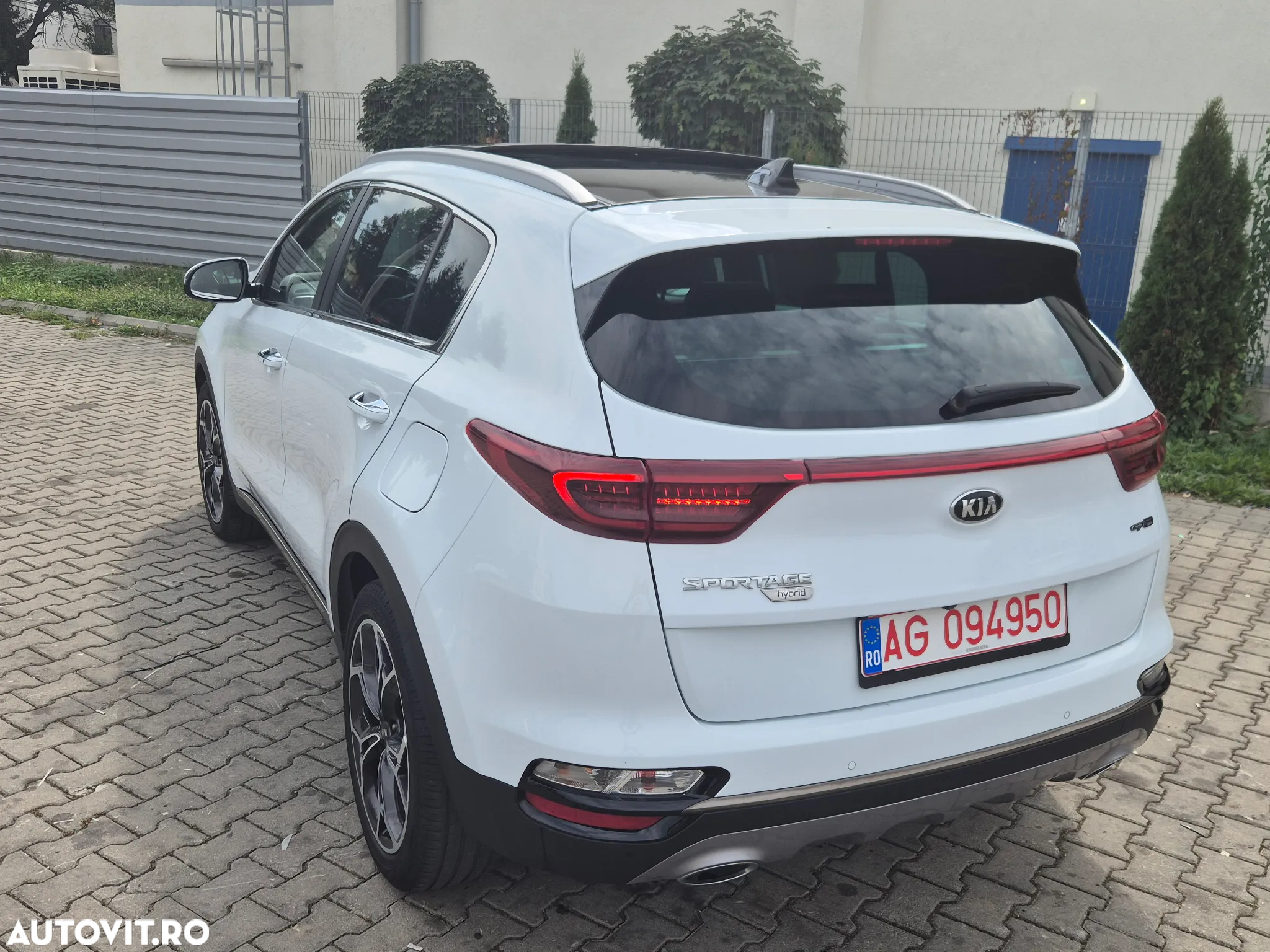 Kia Sportage 1.6 DSL MHEV 7DCT HP 4x2 GT Line - 25