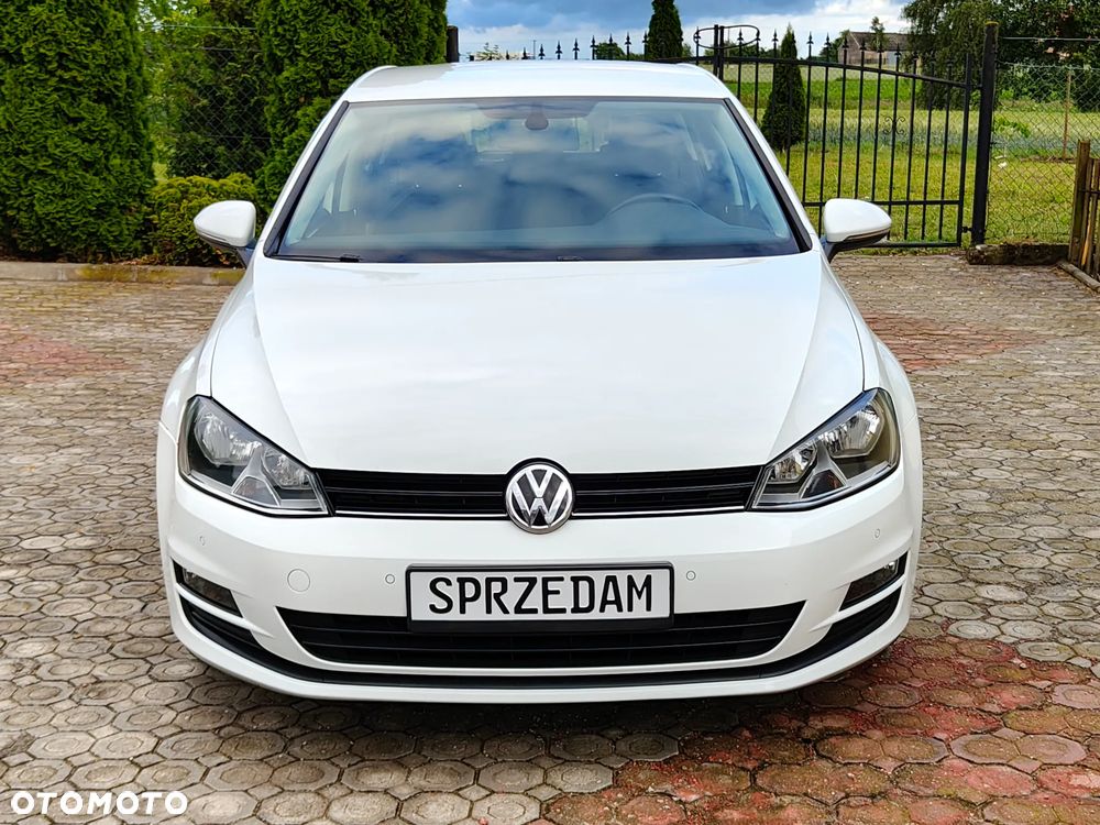 Volkswagen Golf - 12