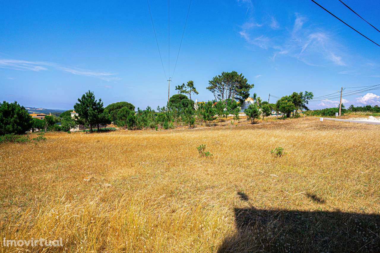 Terreno 4 910m2 | Nadadouro - Grande imagem: 3/9