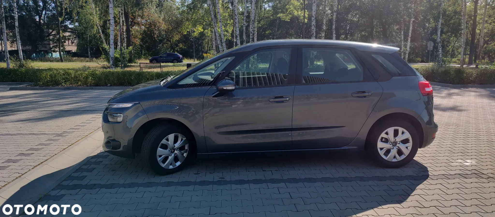 Citroën C4 Picasso e-HDi 115 ETG6 Business Class - 11