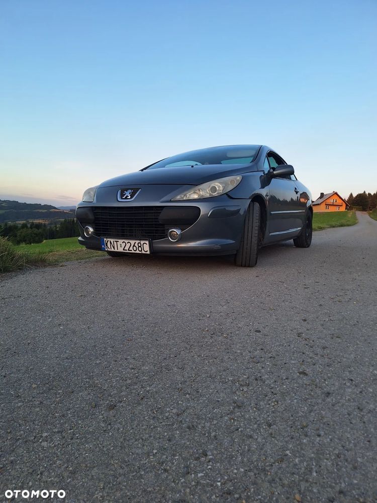 Peugeot 307 CC 2.0 - 1