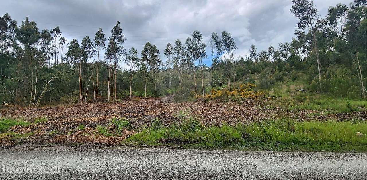 Terreno  para venda - Grande imagem: 2/28