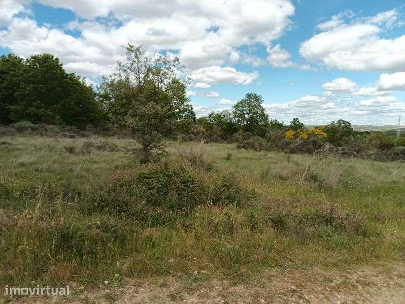 Terreno à venda em Paçó de Mós - Grande imagem: 2/6