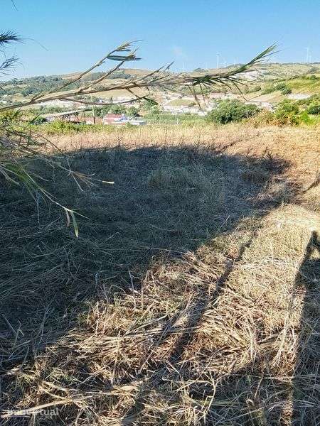 Vendo terreno para construção - Grande imagem: 5/5
