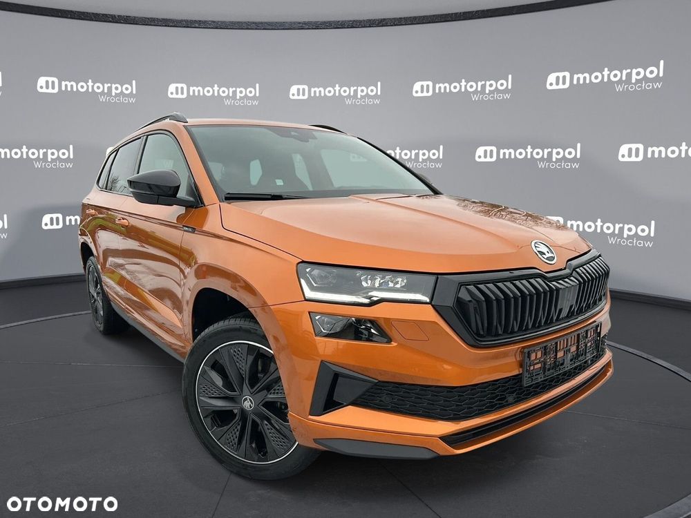 Skoda Karoq - 12