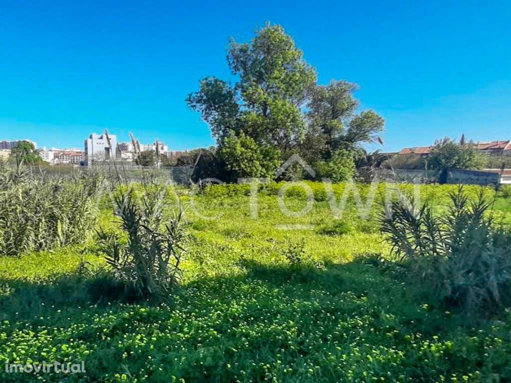 Entre o Verde, o Mar e a Cidade - Um Projeto Distinto - Grande imagem: 2/8