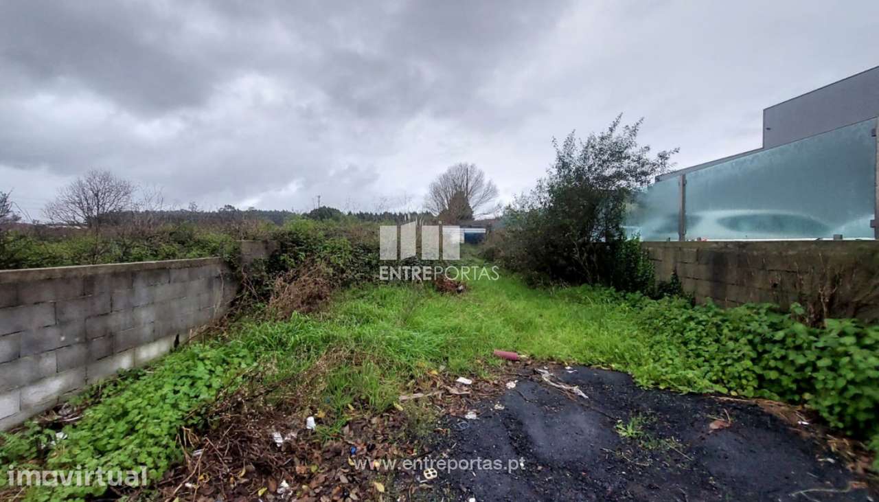 Venda de Terreno Agrícola (30.000 m²) com Armazém, Árvore, Vila do