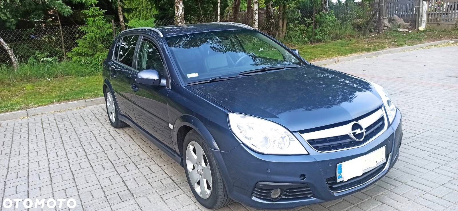 Opel Signum 1.9 CDTI - 1