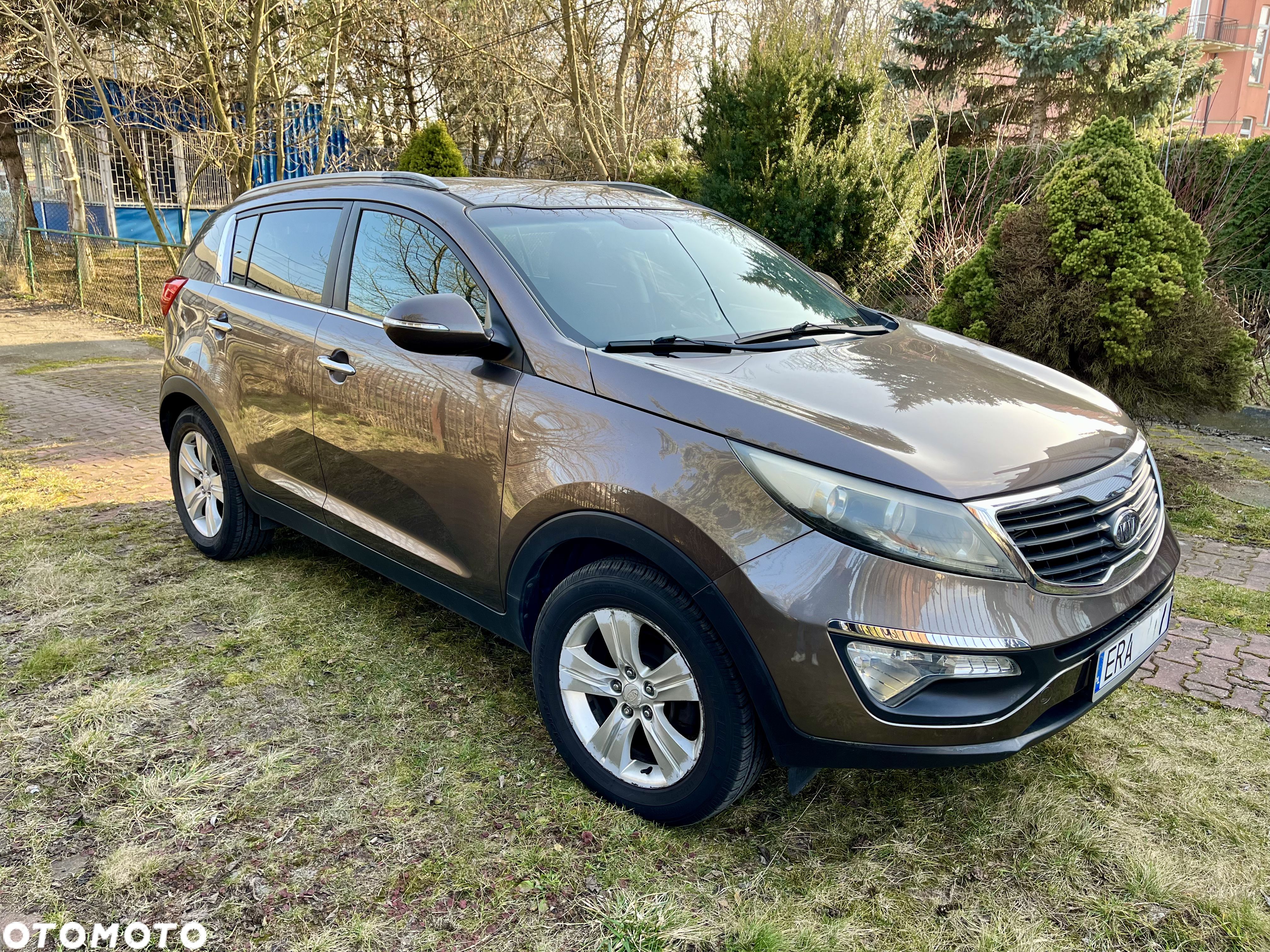 Kia Sportage - 1