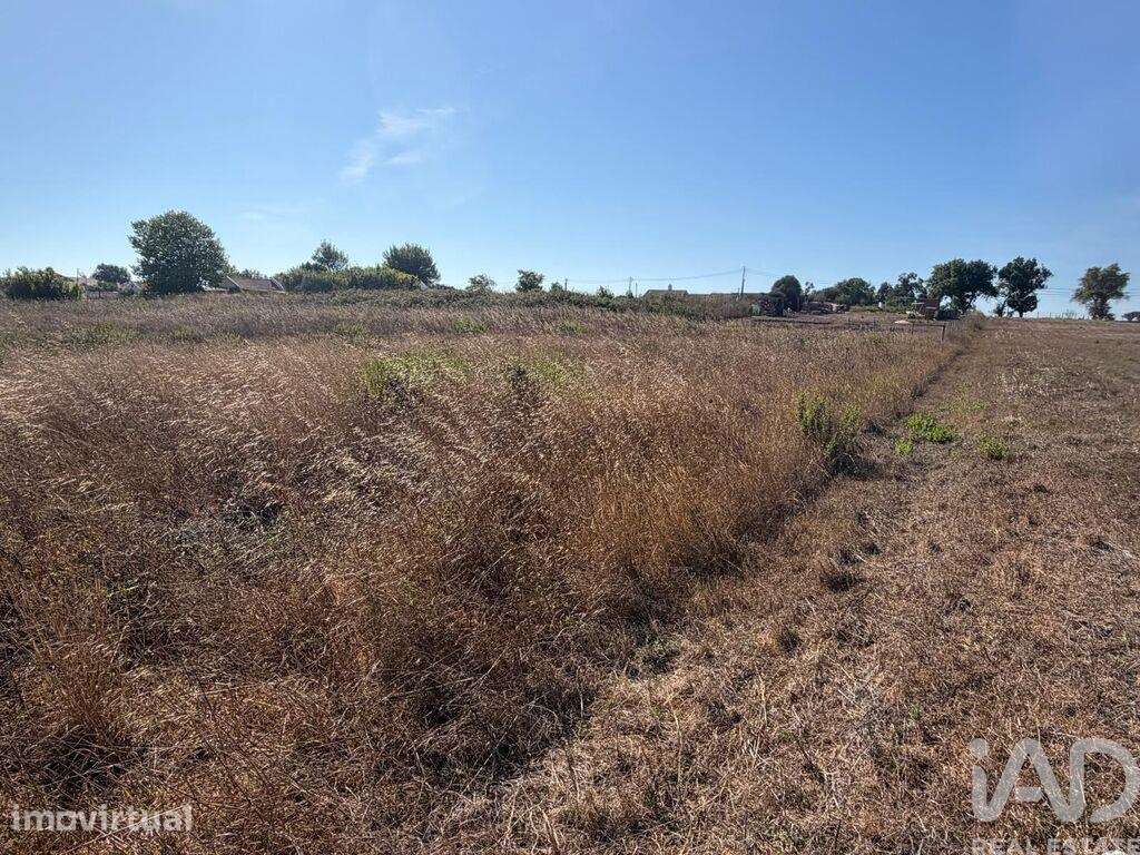 Terreno para construção em Sesimbra (Castelo) - Grande imagem: 5/12