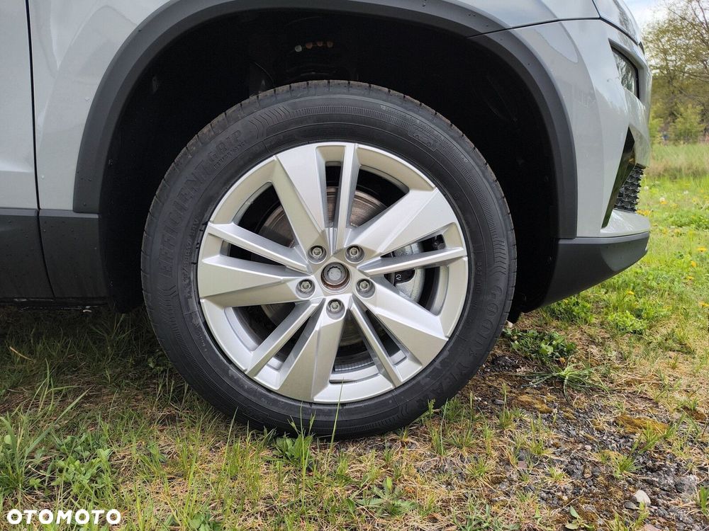 Skoda Karoq - 19