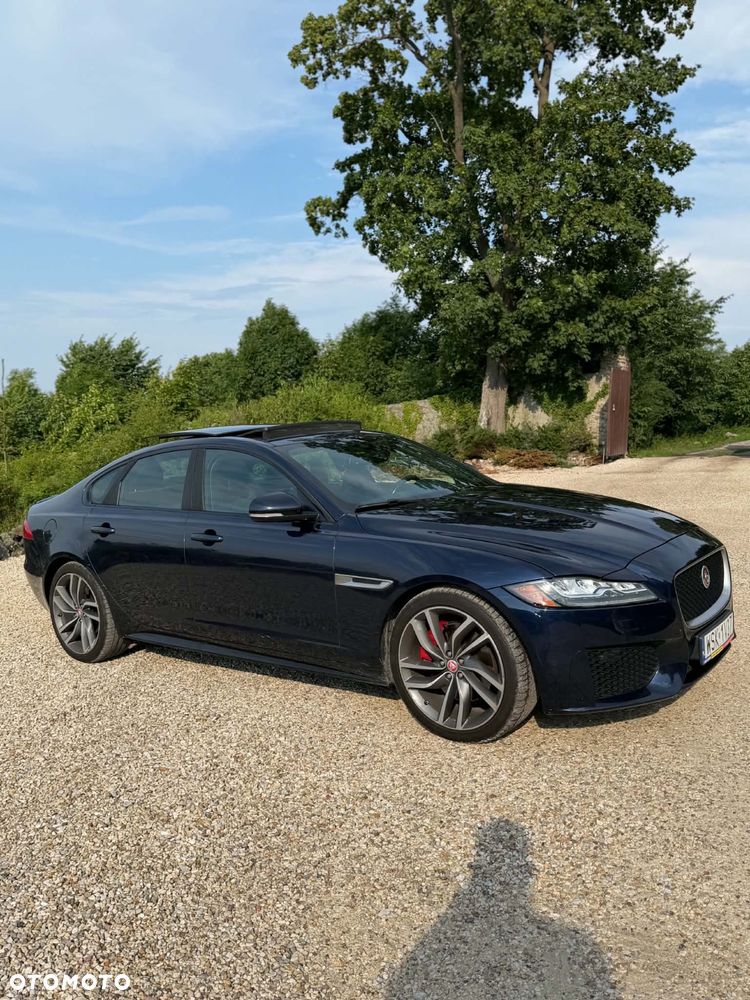 Jaguar Xf 2016 photo 5