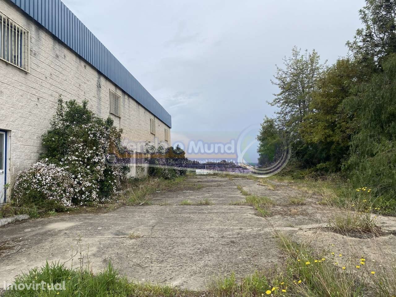 Armazém em Mora (MOR065) - Grande imagem: 4/28