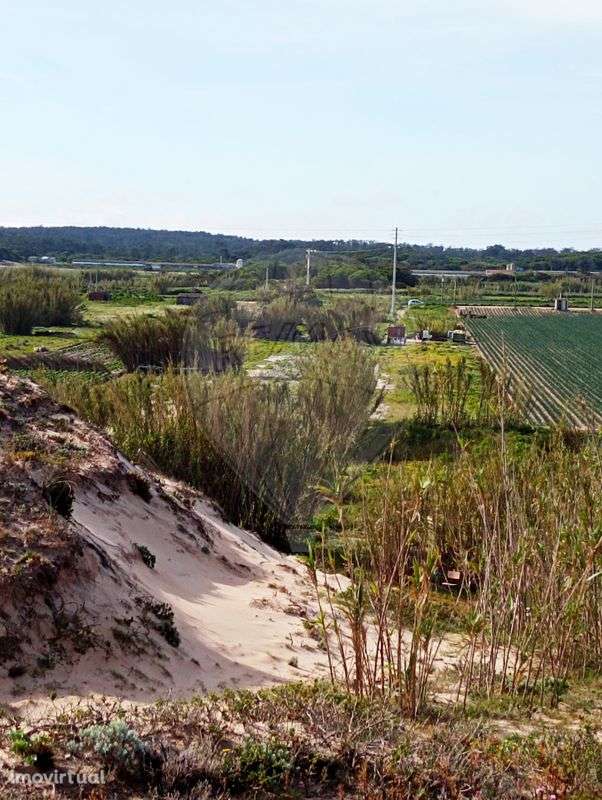 Terreno  para venda - Grande imagem: 4/6