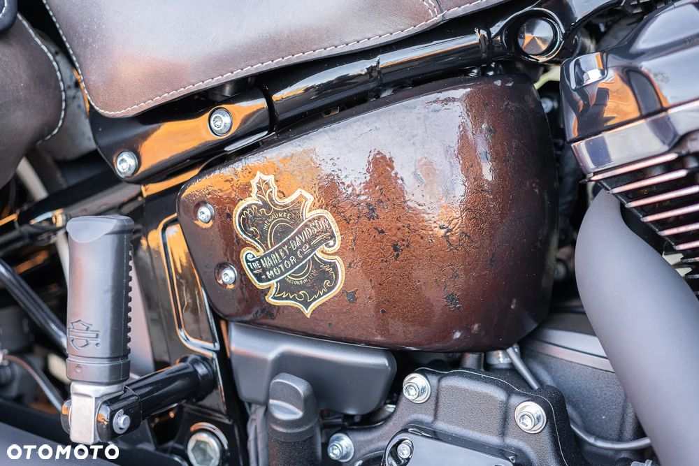 Harley-Davidson Softail Heritage Classic - 31