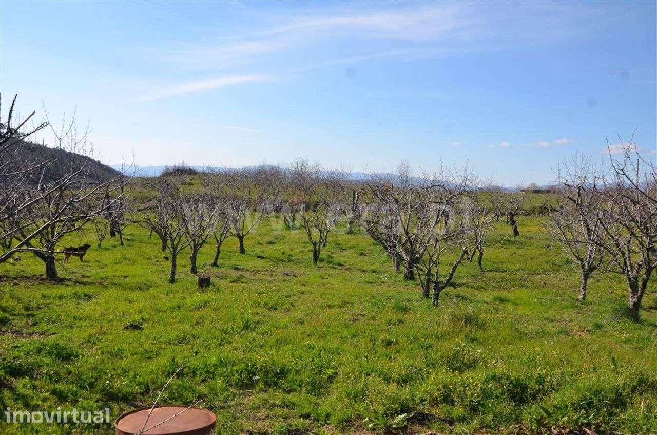 Quinta / Fundão, Aldeia de Joanes - Grande imagem: 3/12