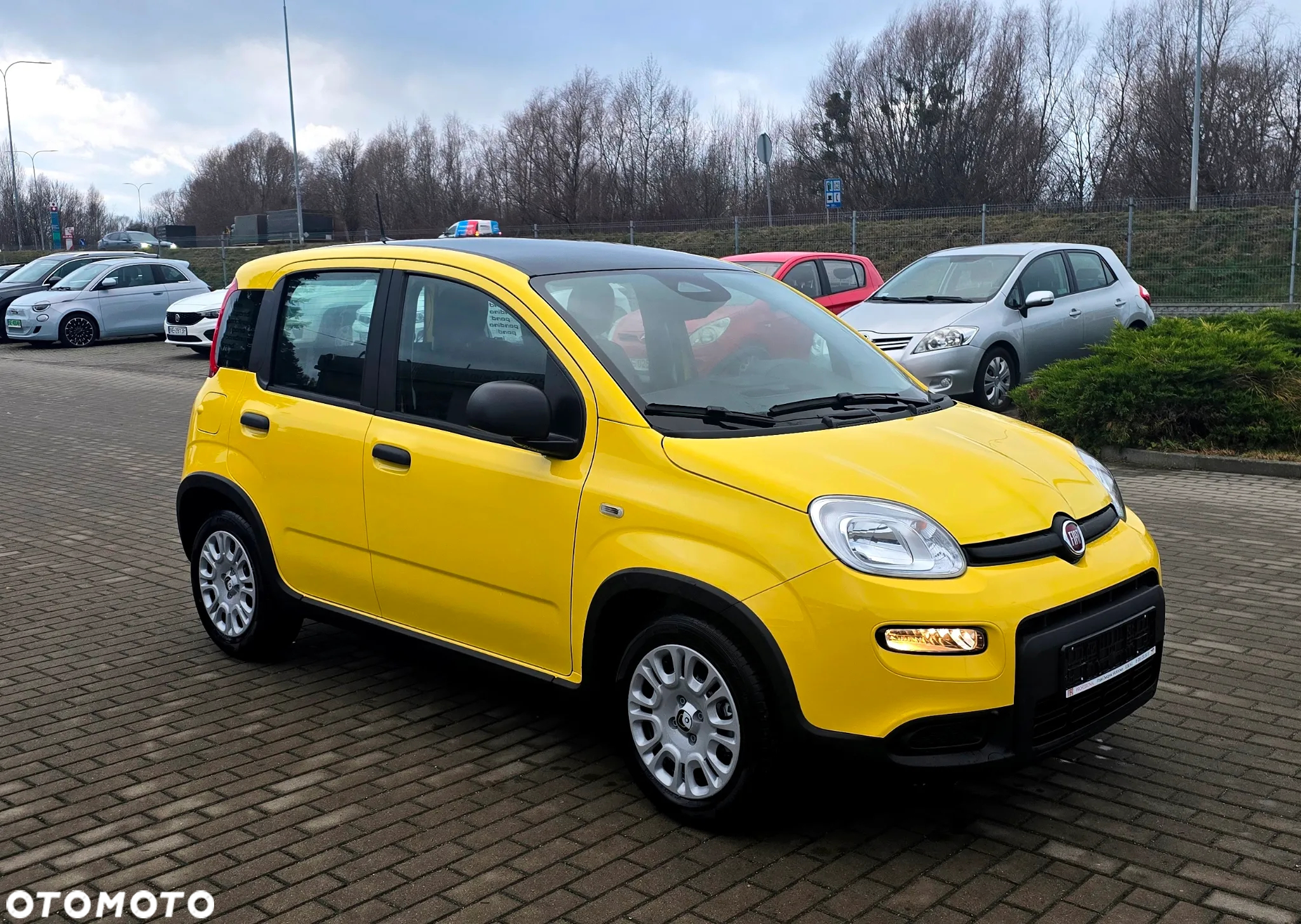 Fiat Panda - 7