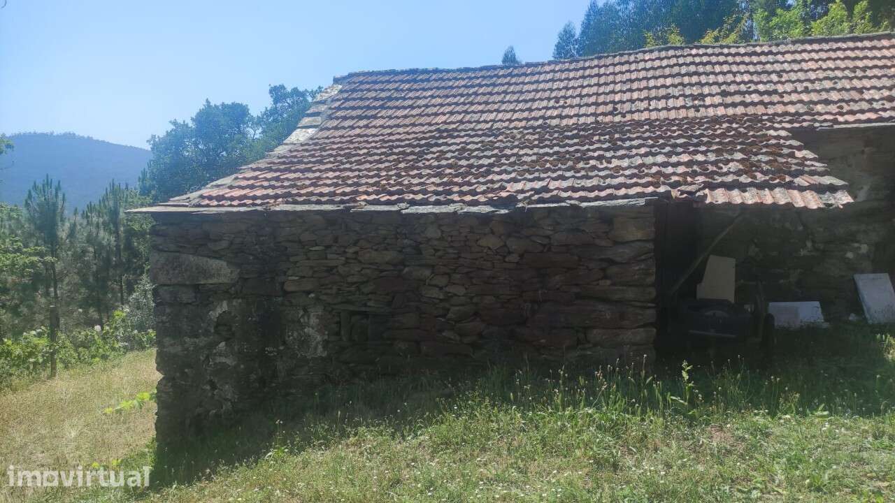 Casa/ Ruína em S. Miguel do Mato - Grande imagem: 4/24