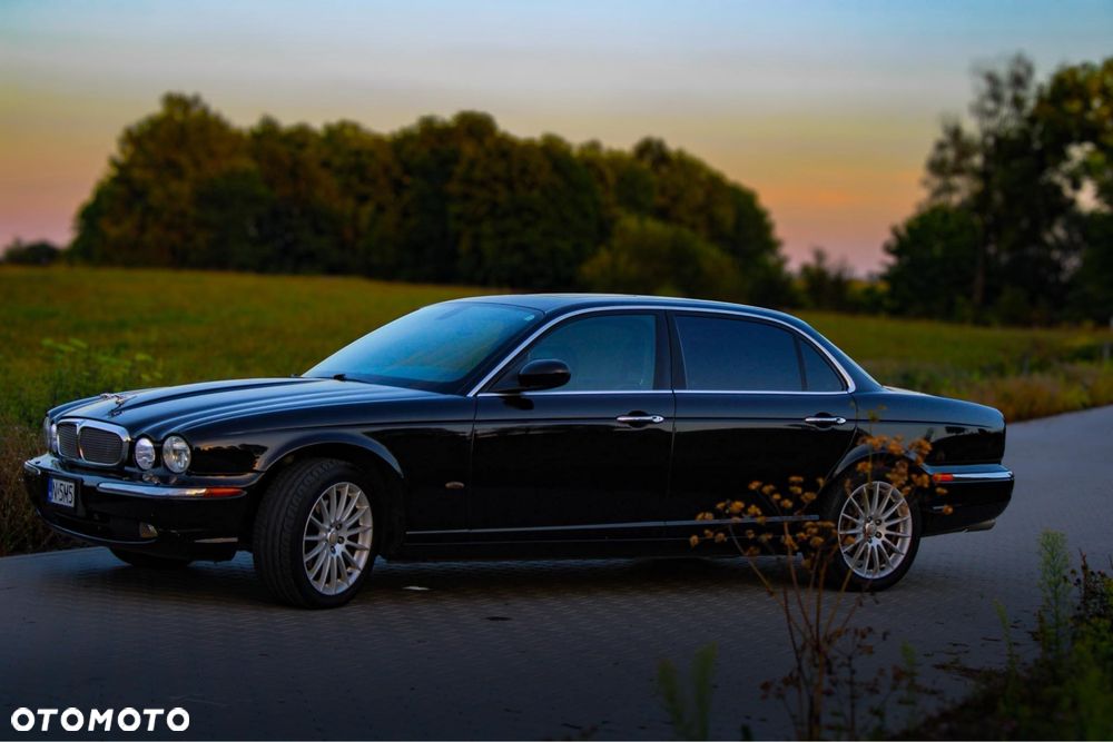 Jaguar Inny - 4