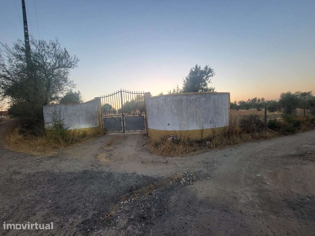 Quintinha com 26.000 m2 - Grande imagem: 3/18