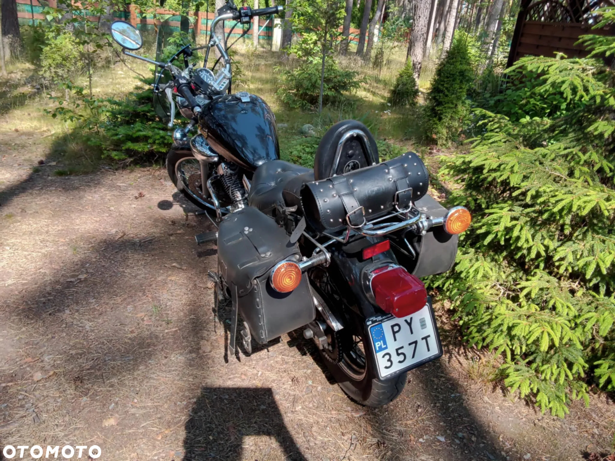 Yamaha Virago - 3