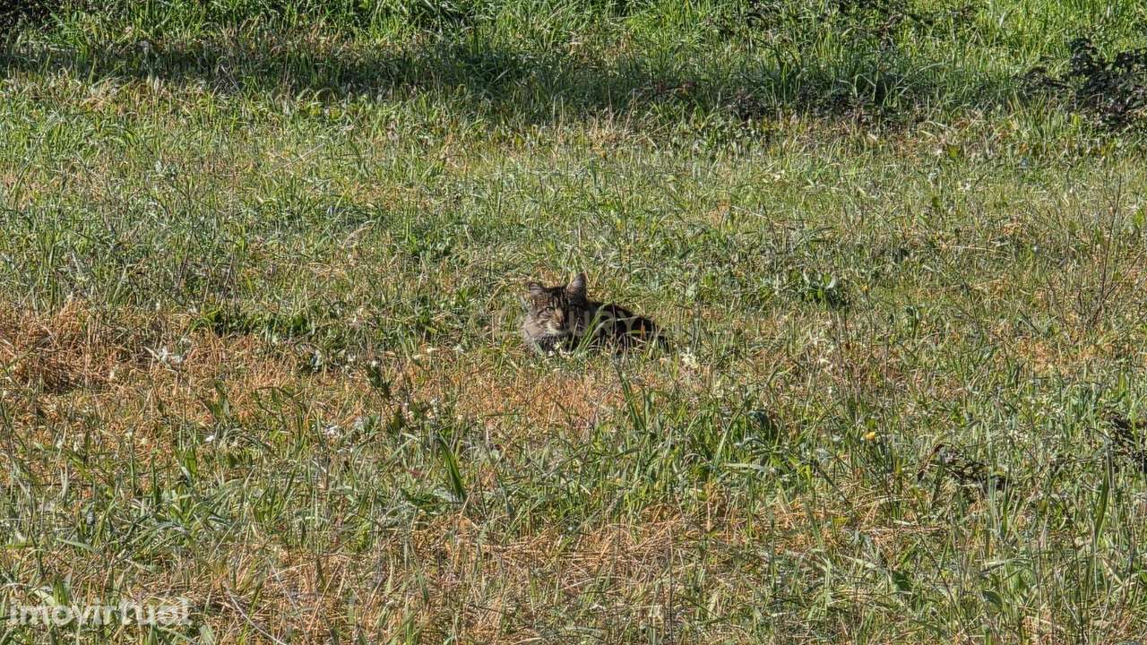 Terreno em Soure, Coimbra - Oportunidade de construção da sua moradia - Grande imagem: 4/19