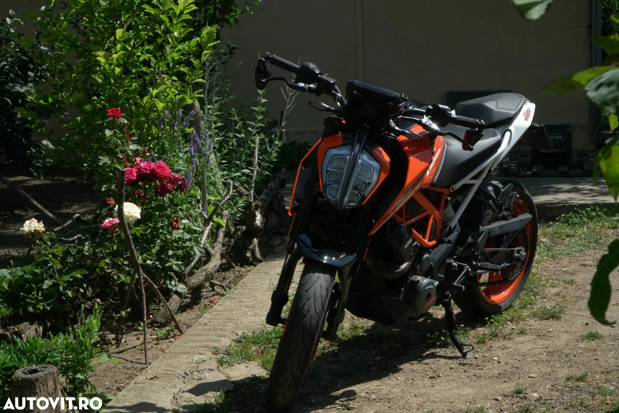 KTM 390 Duke - 5