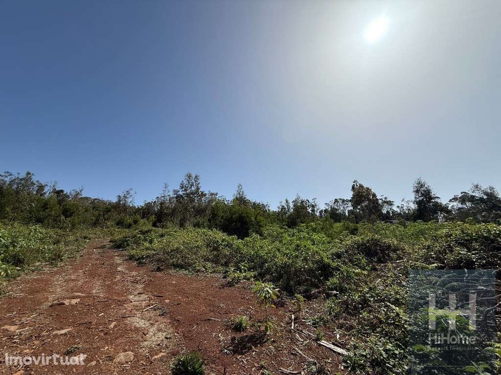 Terreno Rústico no Santo António da Serra, Santa Cruz - Grande imagem: 2/9