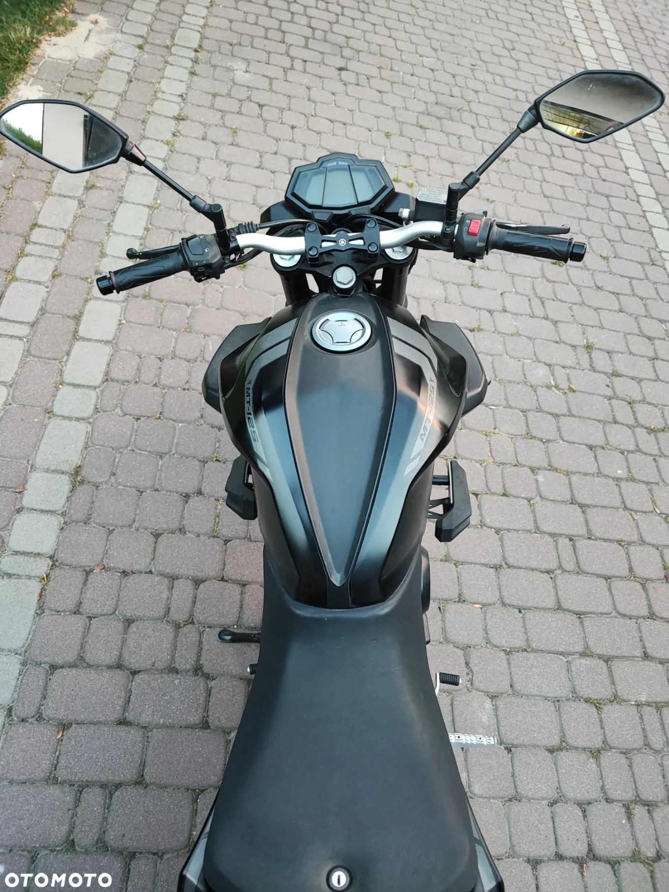 Yamaha MT - 6