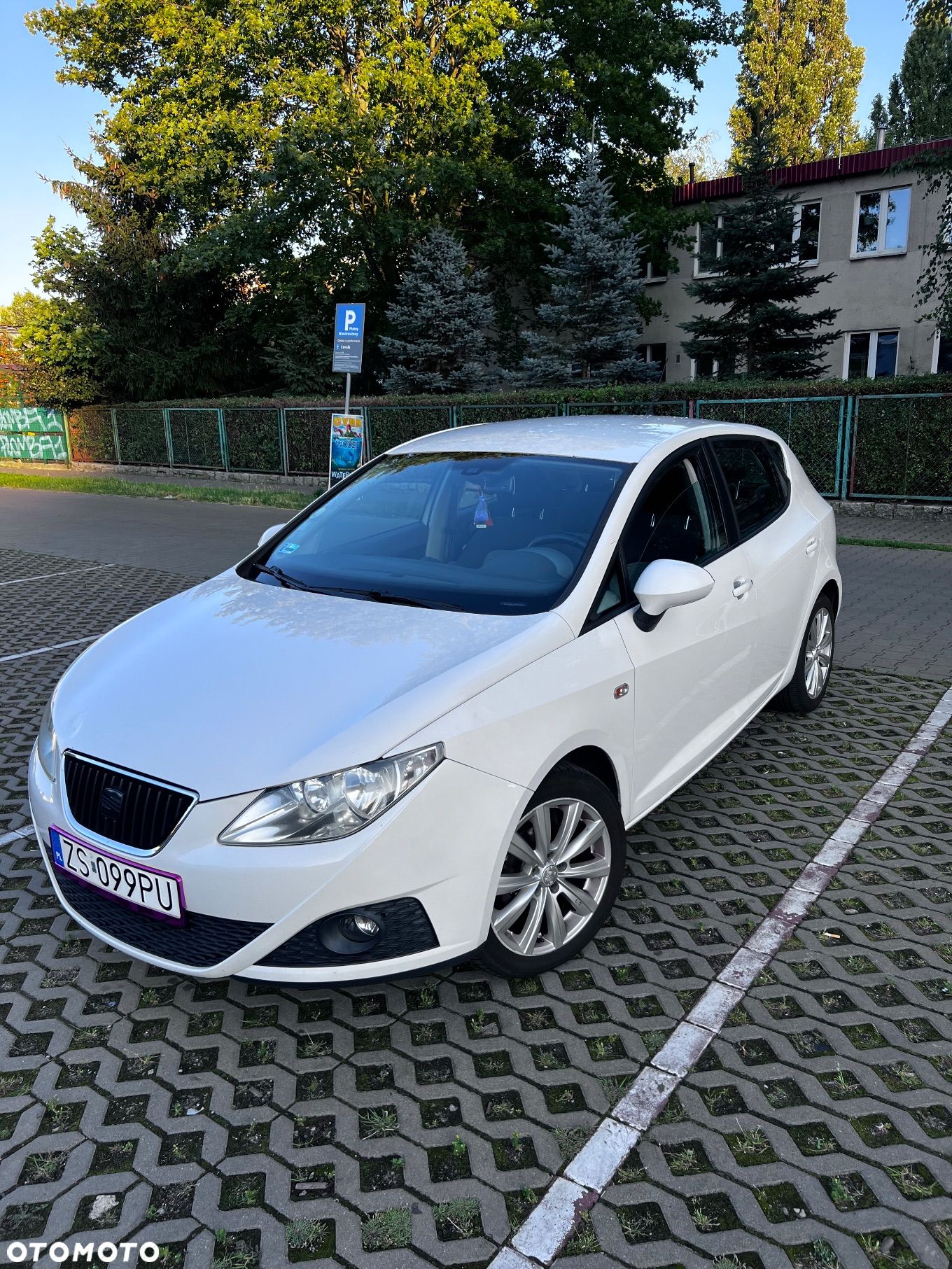 Seat Ibiza 1.6 TDI DPF Style - 1