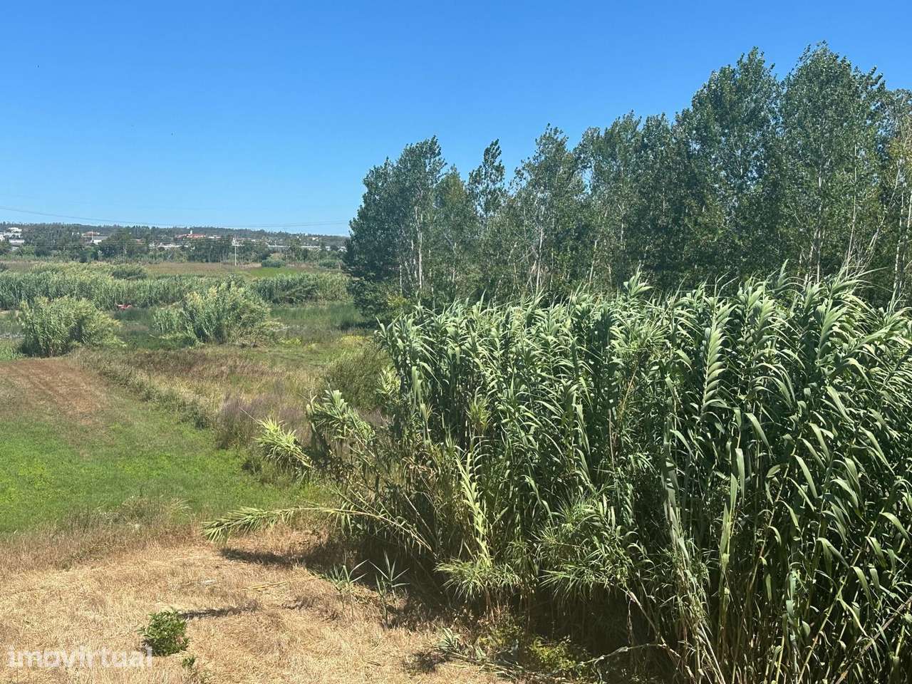 Terreno Para Construção  Venda em Amor,Leiria - Grande imagem: 3/19