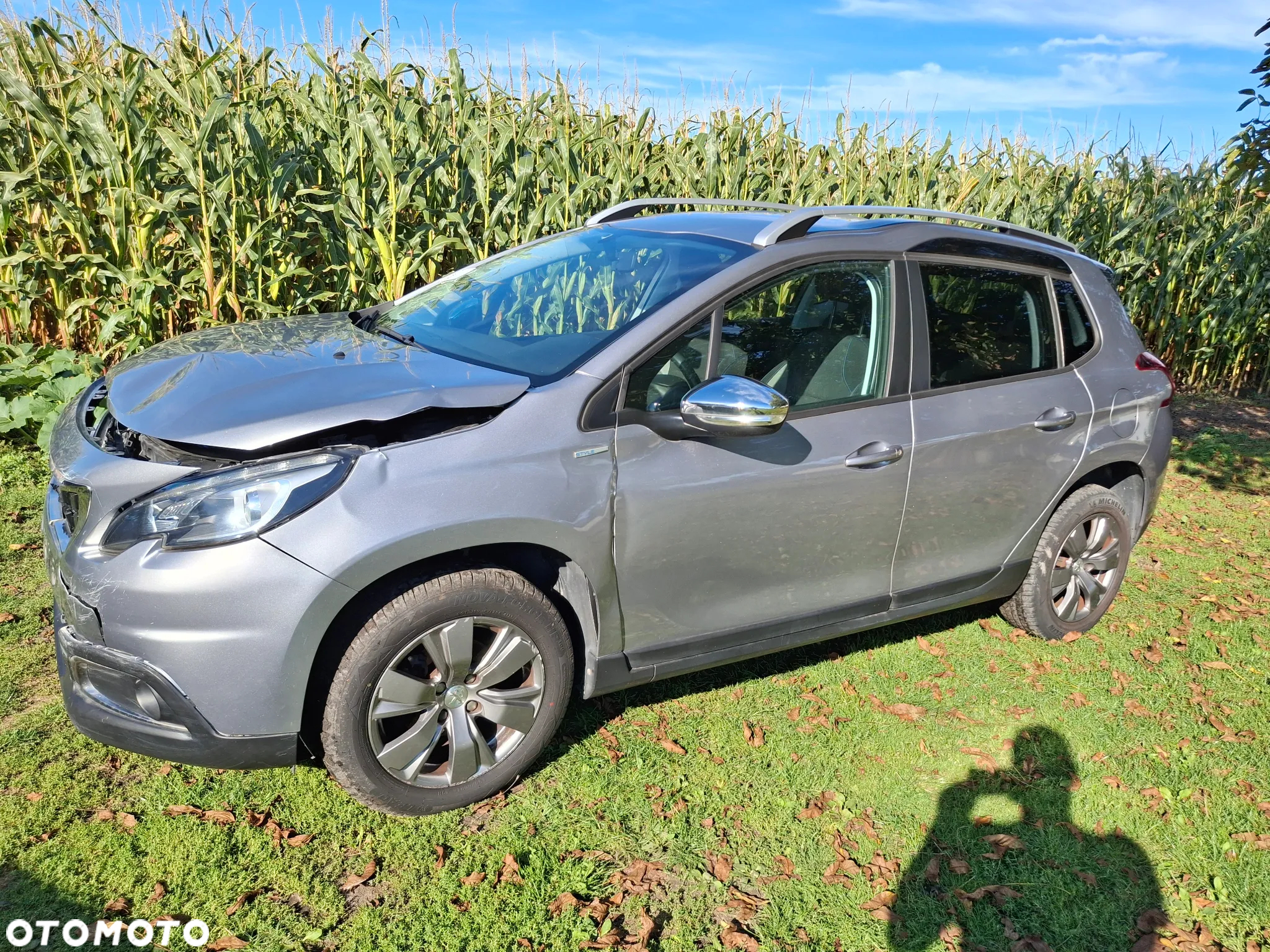 Peugeot 2008 - 4