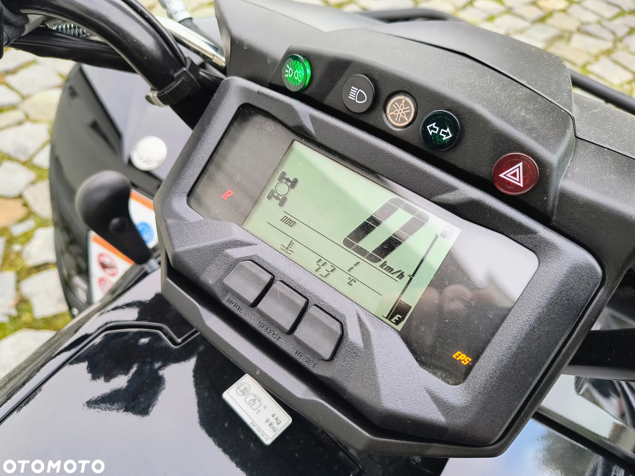 Yamaha Grizzly - 7