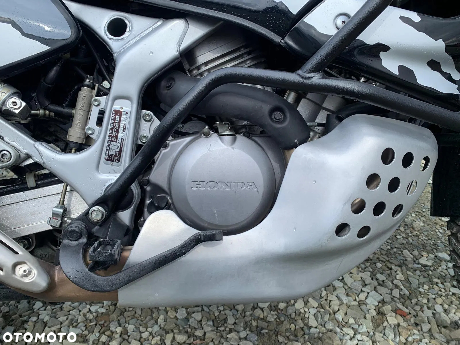 Honda XRV