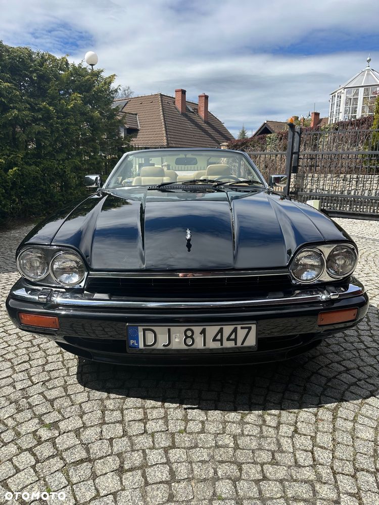 Jaguar XJS - 19