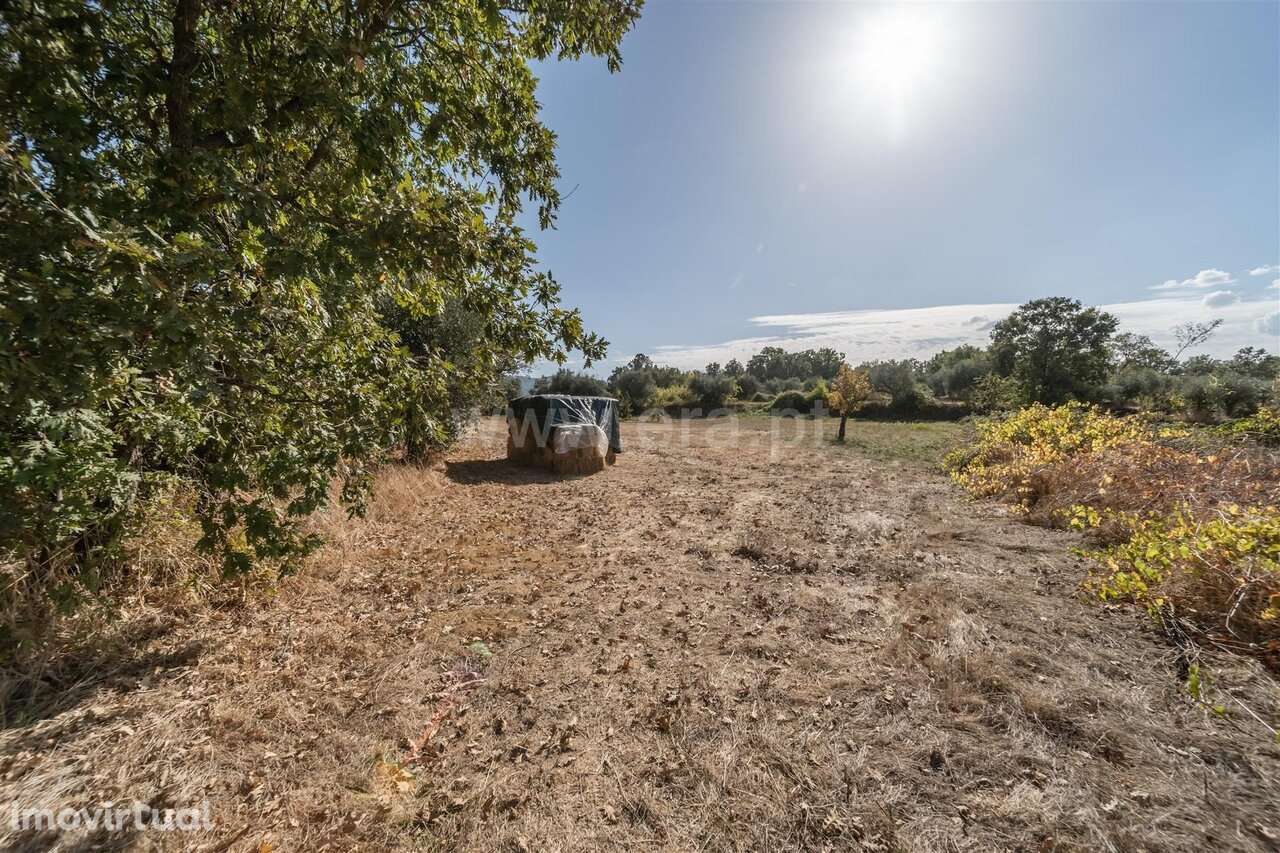 Terreno Valverde Fundão - Grande imagem: 3/13