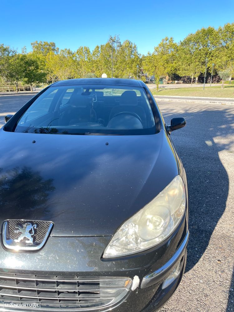 Peugeot 407 - 5