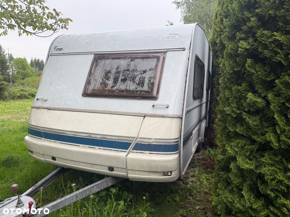 Wilk SPORT 490 - 4
