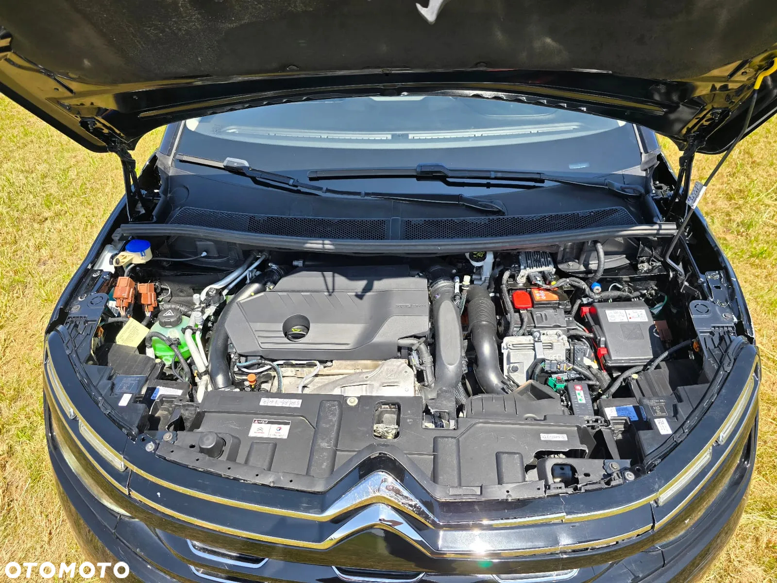 Citroën C5 Aircross Hybrid 225 e-EAT8 ë-SERIES - 25