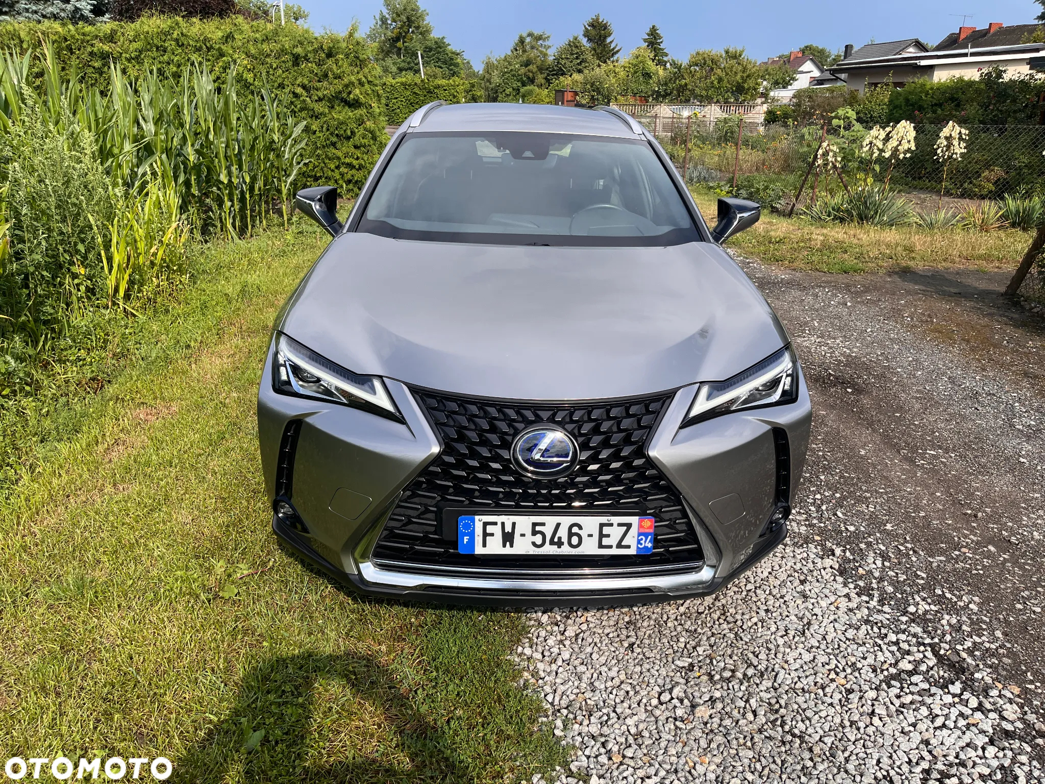 Lexus UX 250h GPF Business 2WD - 3