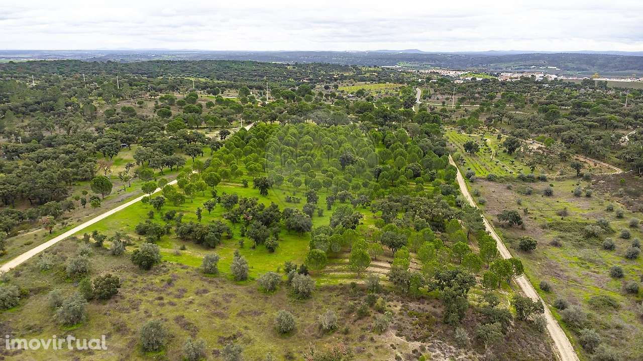 Terreno  para venda - Grande imagem: 3/13