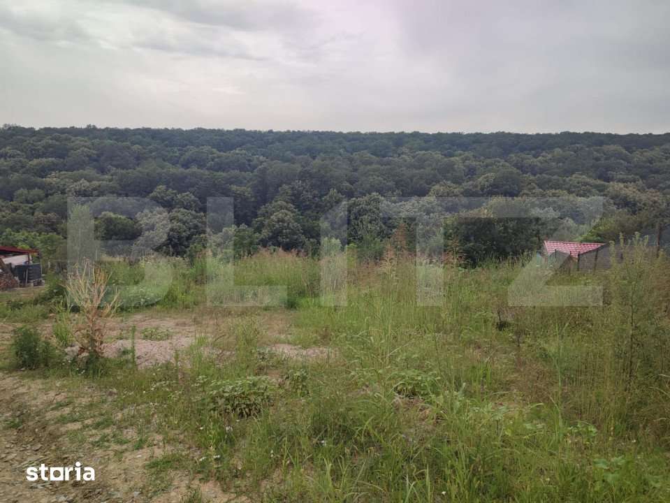 Teren 2350 mp langa padure ,zona Leamna de Jos - Imagine principală: 2/2