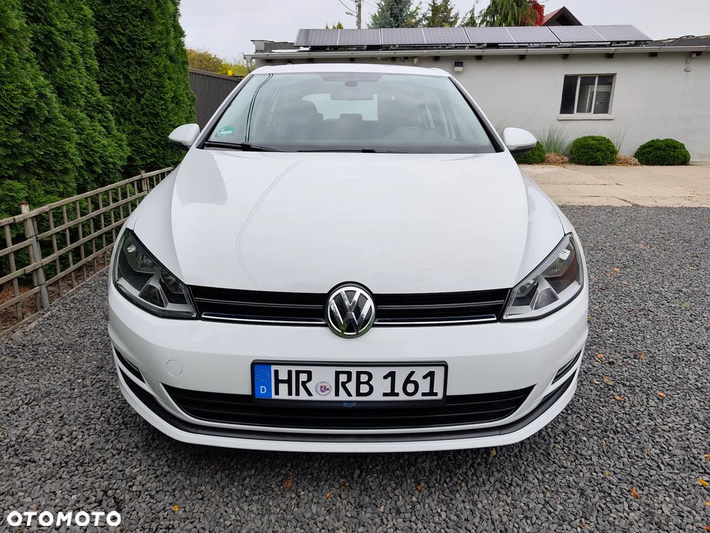 Volkswagen Golf - 36
