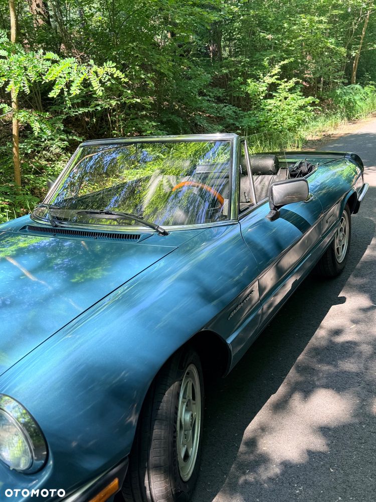 Alfa Romeo Spider - 5