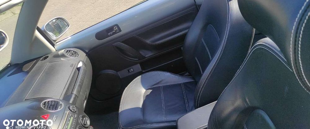 Volkswagen New Beetle - 20