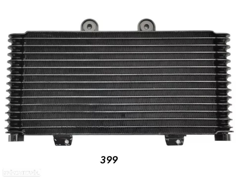 Radiador ,  SUZUKI GSF 1200 2001 - 2005 - 1