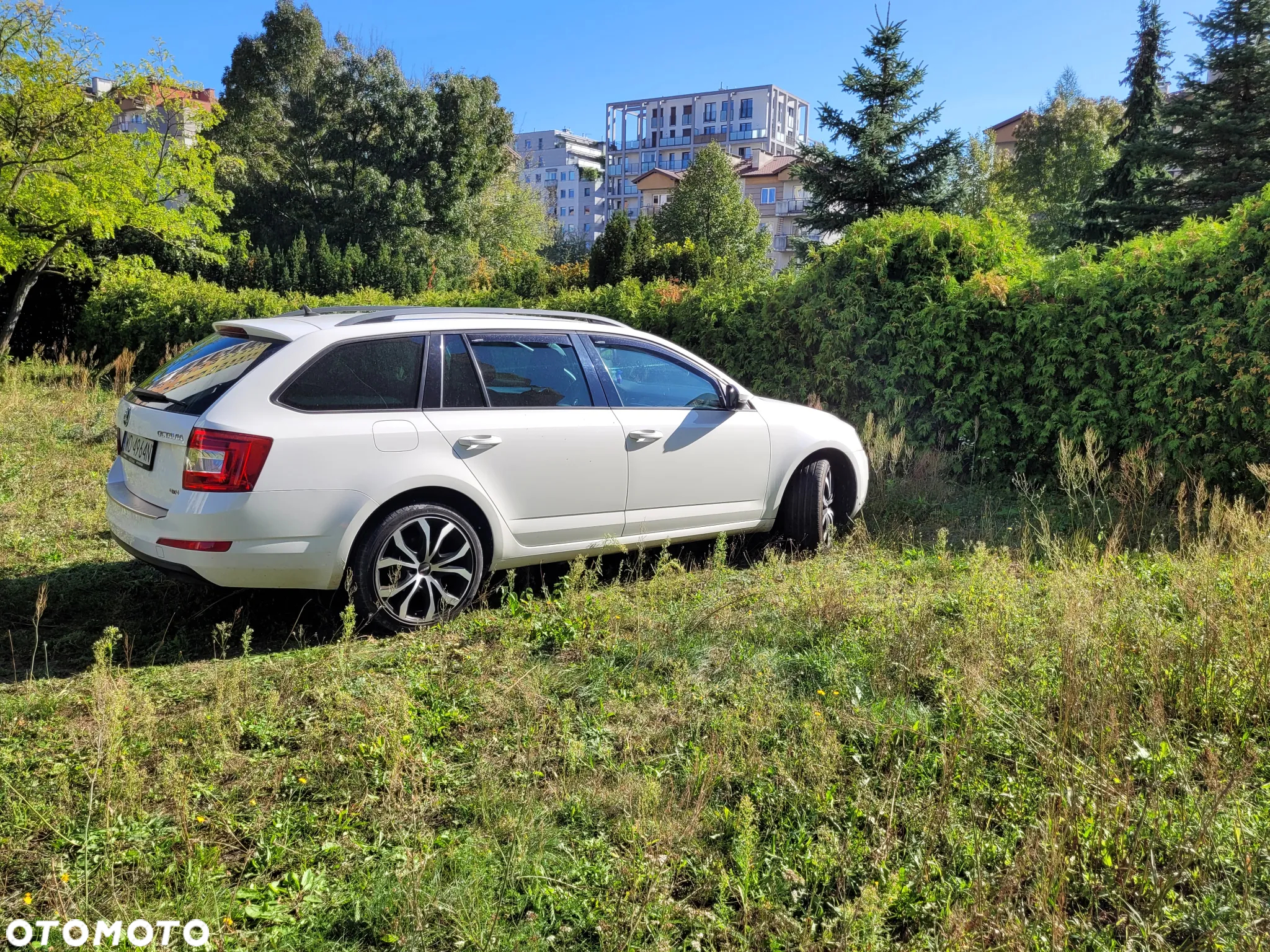 Skoda Octavia 2.0 TDI 4x4 Ambition - 5