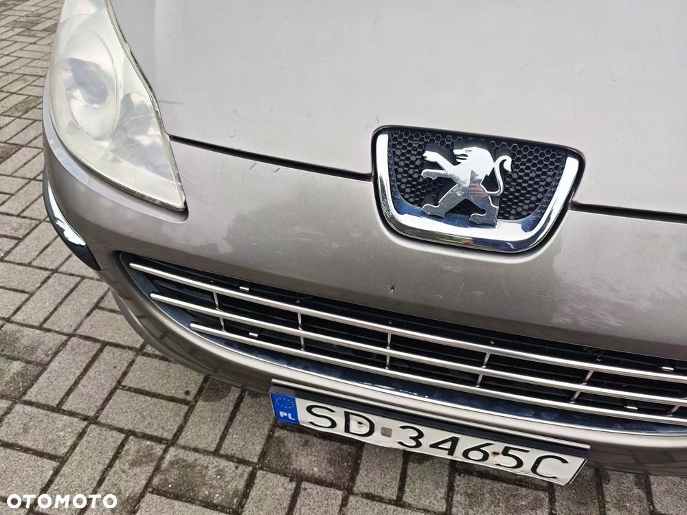 Peugeot 407 - 19