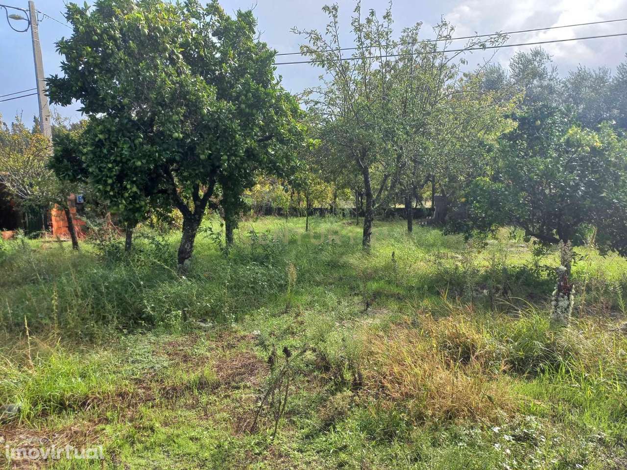 Terreno rústico, Monte Novo, Gavião - Grande imagem: 3/4