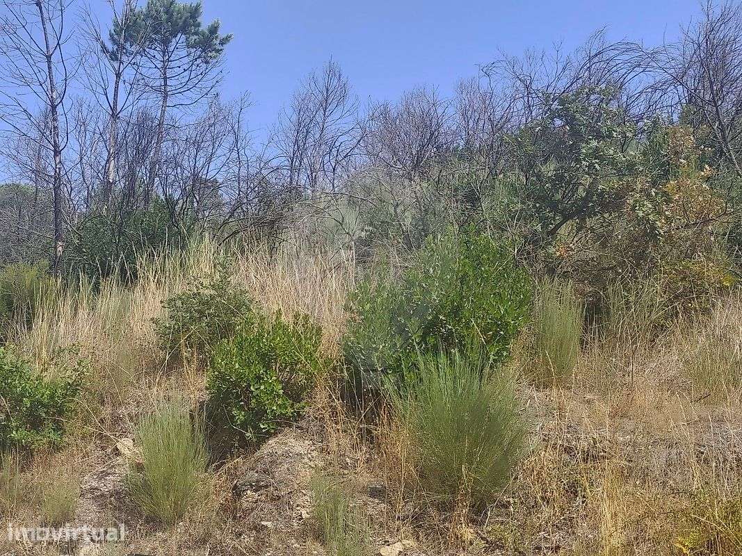 Terreno  para venda - Grande imagem: 3/4
